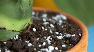 Польза для растений минеральных удобрений: азотных, фосфорных, калийных