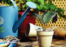 Как сохранить комнатные растения во время отпуска: практичные способы 